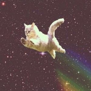 Meet your Posher, Carlie